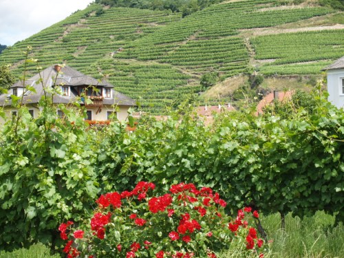 Petit village de Spitz