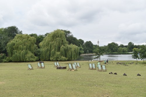 Pour les amants de la nature et des oiseaux, Regent's Park, c'est le paradis!