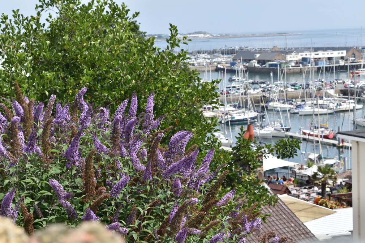 Voyage_Irlande_Ecosse_Juillet2017_TR 216