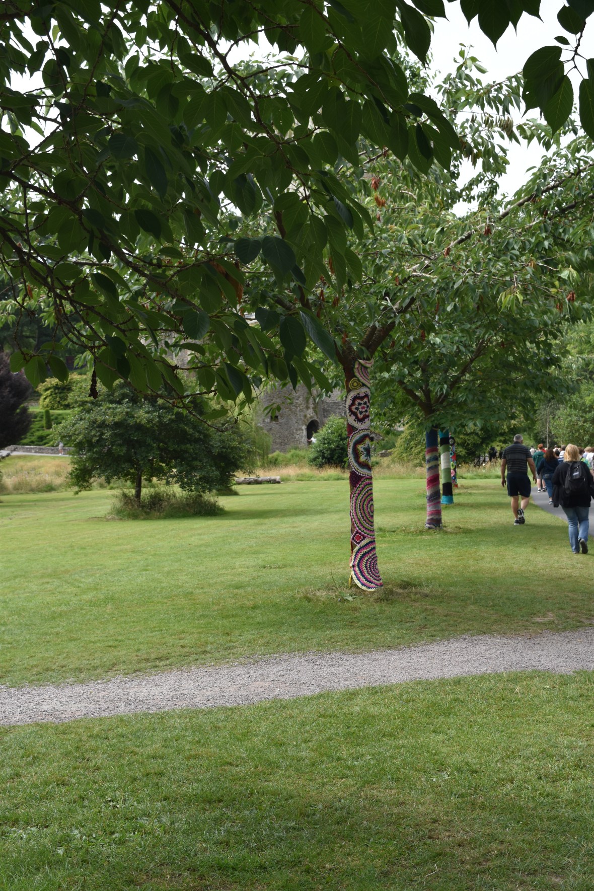 Voyage_Irlande_Ecosse_Juillet2017_TR 243