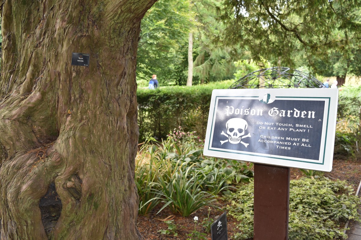 Voyage_Irlande_Ecosse_Juillet2017_TR 257