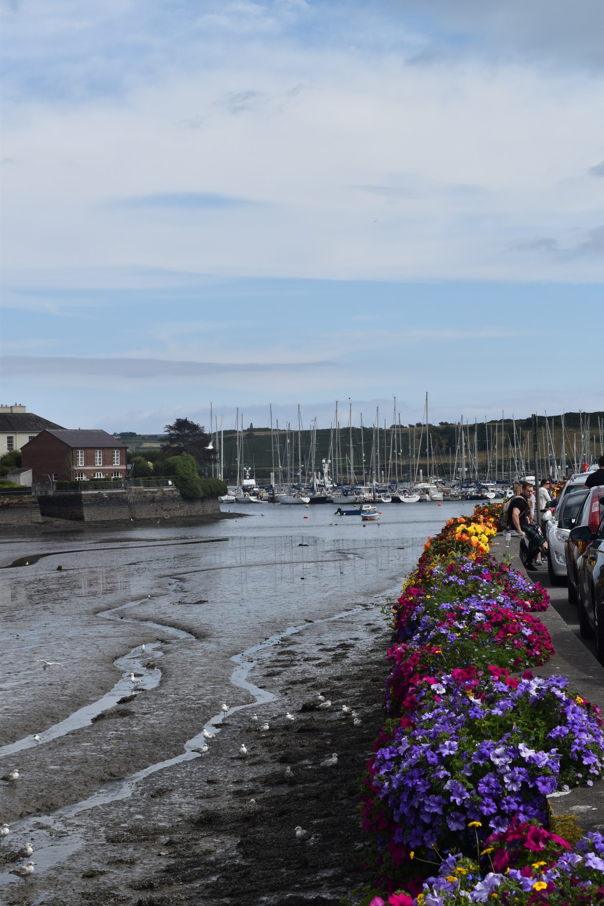 Voyage_Irlande_Ecosse_Juillet2017_TR 311