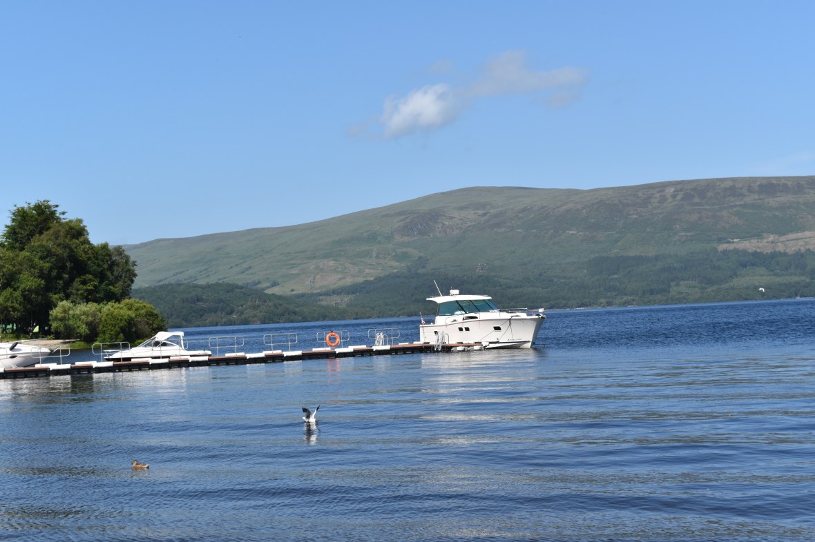 Voyage_Irlande_Ecosse_Juillet2017_TR 686