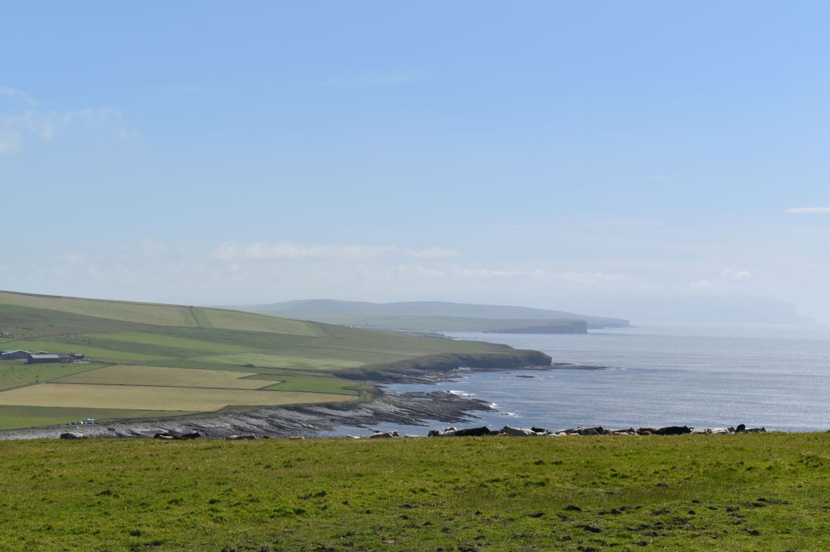 Voyage_Irlande_Ecosse_Juillet2017_TR 831