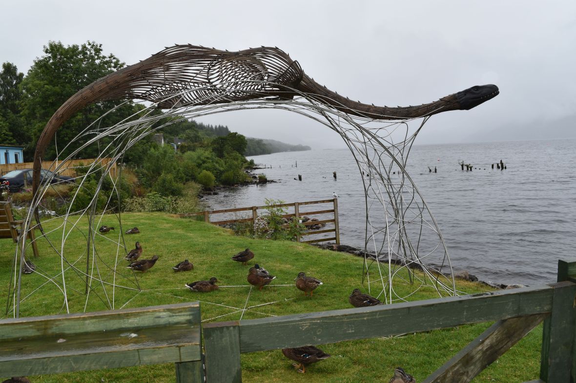 Voyage_Irlande_Ecosse_Juillet2017_TR 947