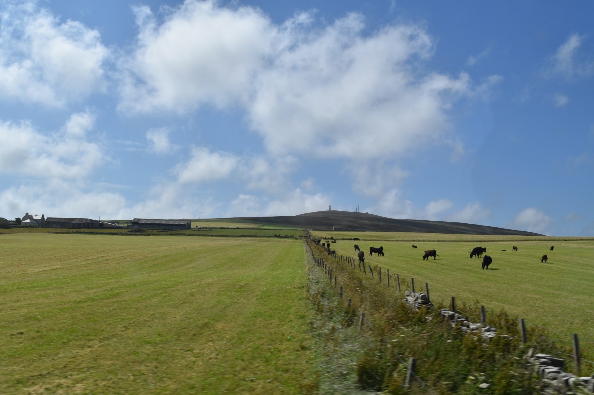 Voyage_Irlande_Ecosse_Juillet2017_TR 788