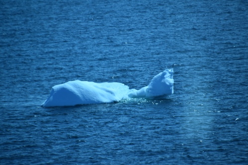 Cet iceberg prenant la pause d'un ours polaire couché sur le dos